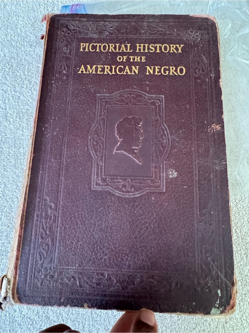 Pictorial History of the American Negro - Dark Brown Hardcover